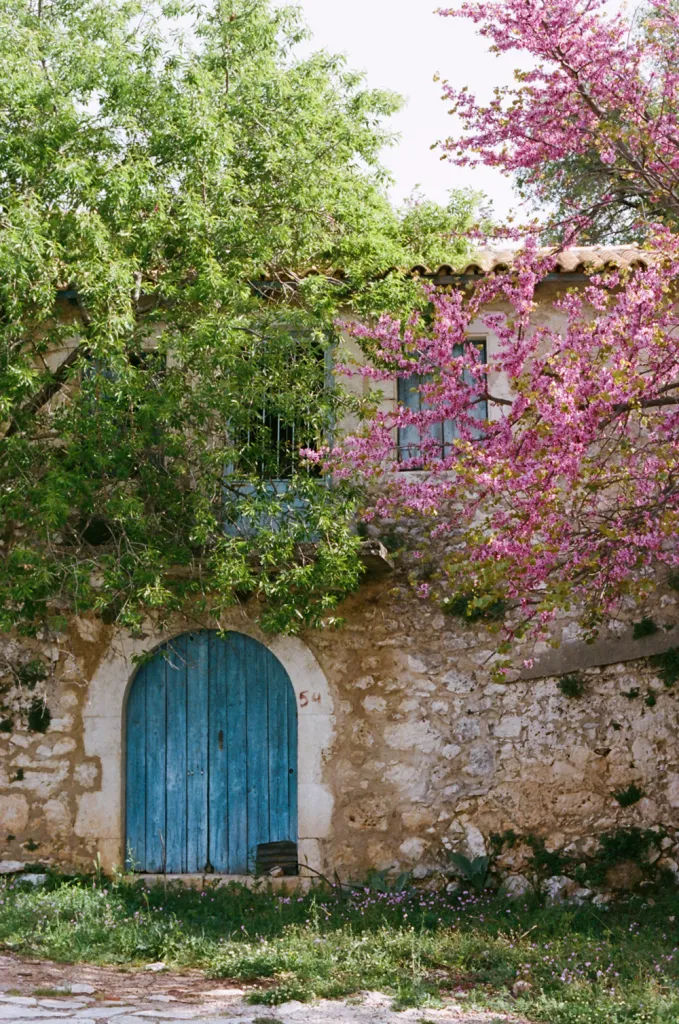 Alexandros-77930006.webp