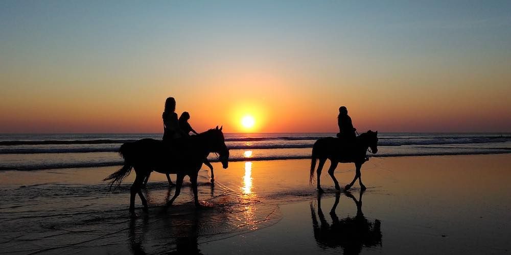 beach-sunset-horse-ride-adelaide.jpg