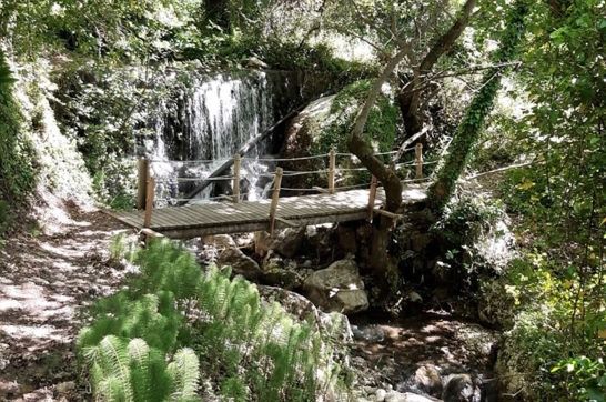 resize1spring-trails-and-olive-tales.jpg