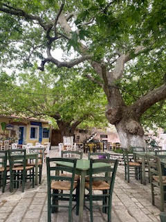 Main village square of Eglouvi, Lefkada, with traditional houses and shaded area