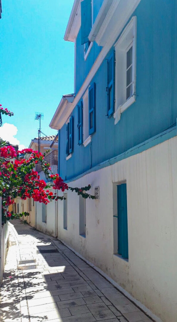 unnamed (8) - Αντιγραφή.jpg