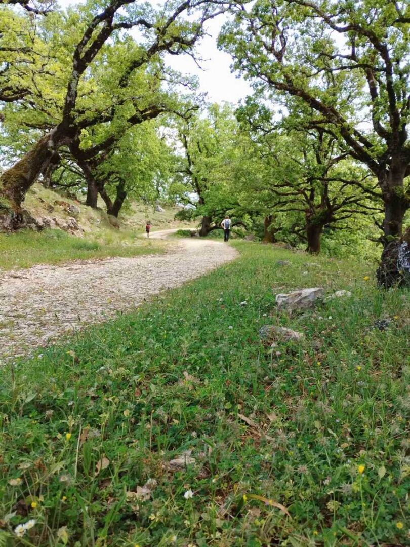 εικόνα_viber_2024-08-12_11-37-28-374lefkada_hike_ancient_path.jpg